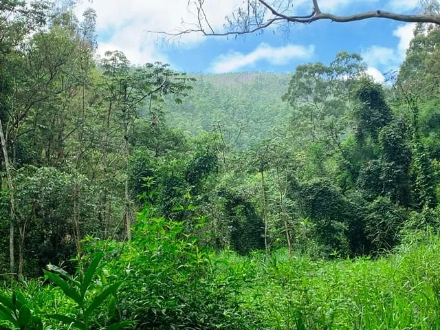 Imagem Chácara à venda 994000M², Barreiro, Aparecida - SP