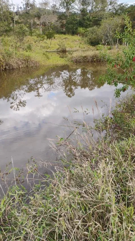 Imagem Fazenda à Venda em Belo Vale/MG | 42 Hectares | R$ 2.800.000,00