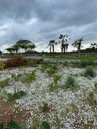 Imagem Terreno a Venda no bairro Senador Carlos Jereissati - Pacatuba, CE