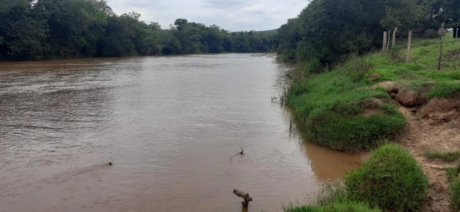 Imagem Terreno à Venda em Carmópolis de Minas 13,5 hectares, todo formado