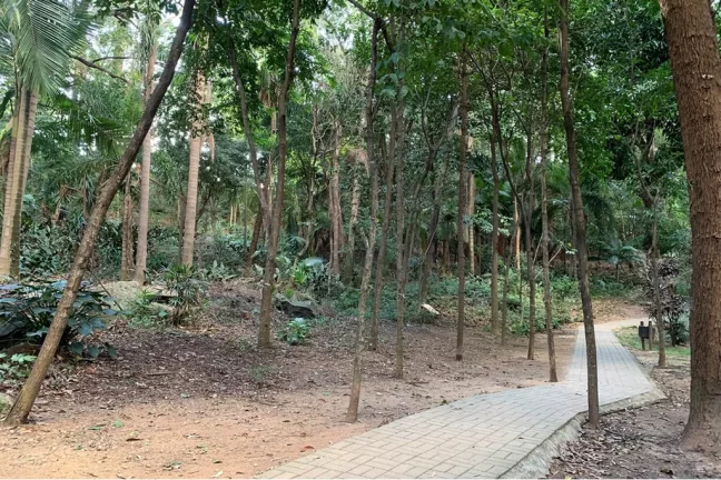 Imagem Apartamento à venda no bairro Freguesia do Ó - São Paulo/SP