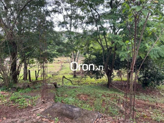 Imagem Chácara com 3 dormitórios à venda, 12000 m² por R$ 650.000,00 - Zona Rural - Nova Veneza/GO