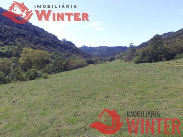 Imagem Fazenda de 61 hectares na cidade de Linha Nova.