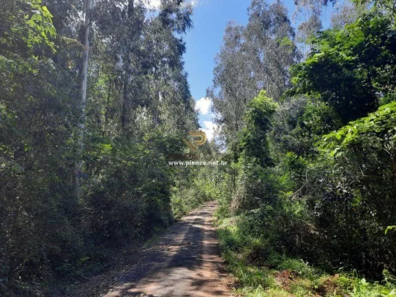 Foto do imóvel Área Agrícola para Venda em Concórdia, Interior em São Braz