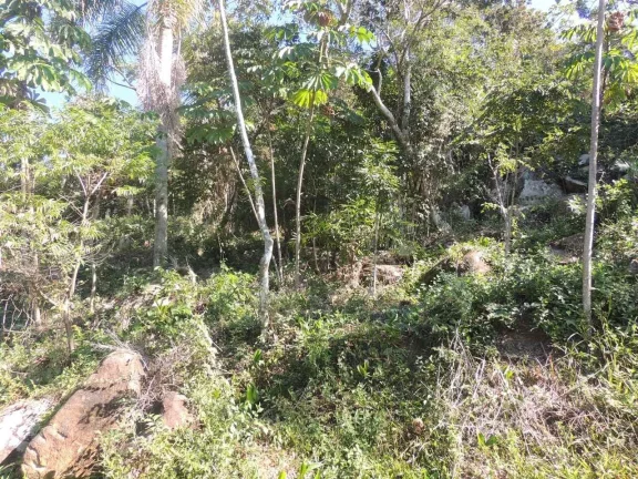 Imagem Terreno à Venda em Garopaba-SC, Praia da Gamboa, 973,63 m² de Área com Vista Mar!