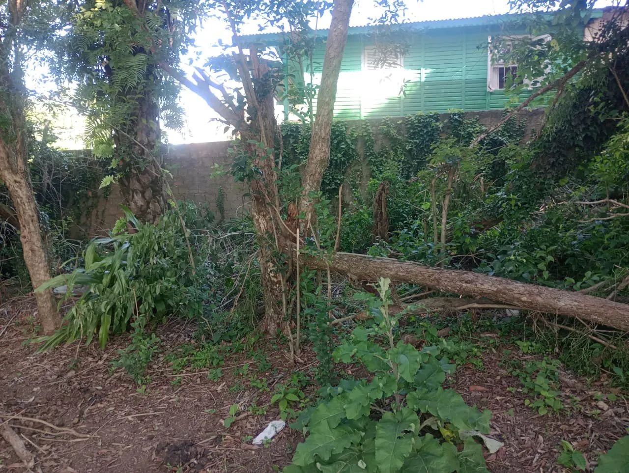 Imagem Terreno à Venda em São Lucas, Viamão