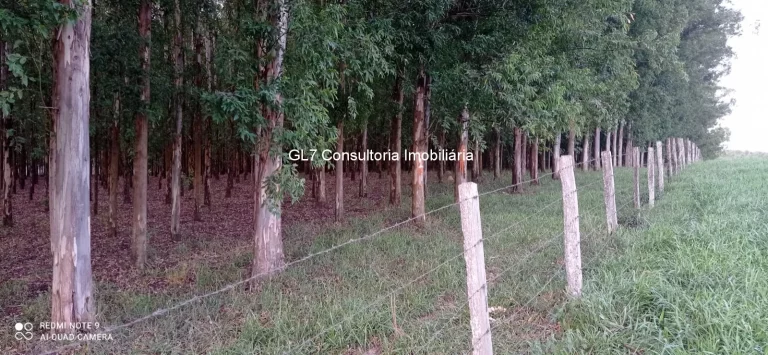 Imagem OPORTUNIDADE AREA EM ELIAS FAUSTO SP