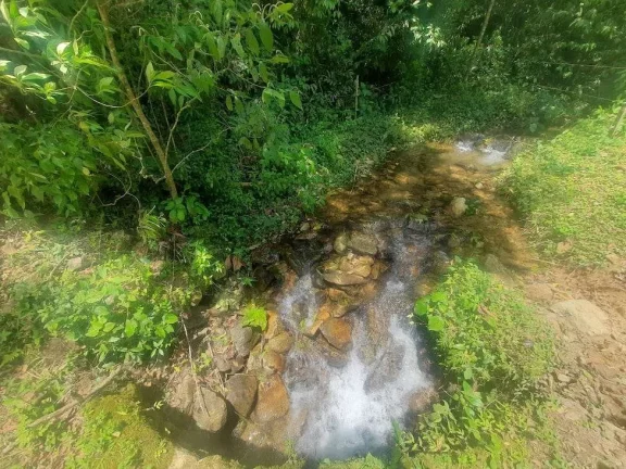 Imagem Área à venda (65,53ha) - Águas Mornas/SC