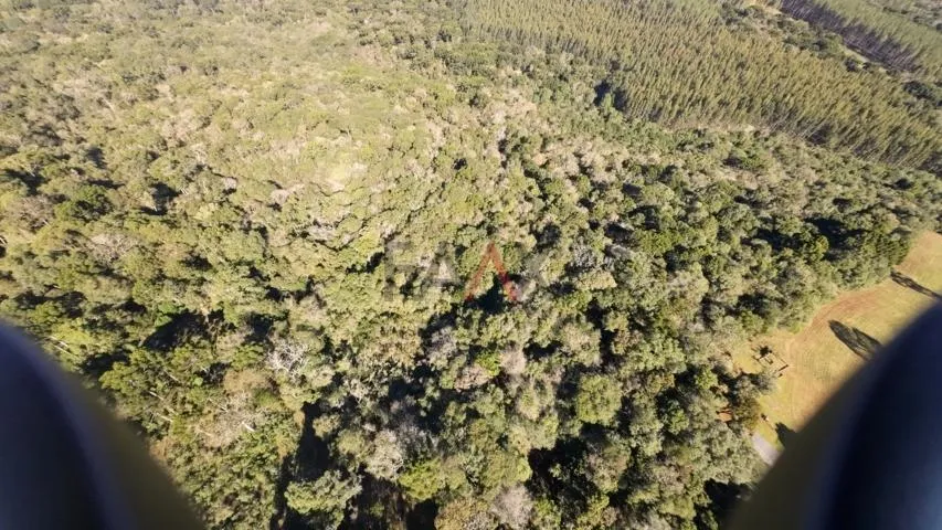 Imagem Sítio à venda com excelentes 24,62ha de área em Guarpuava PR