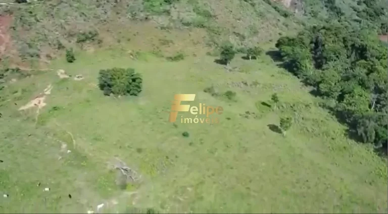 Imagem MARAVILHOSA FAZENDA RICA EM ÁGUA PRÓXIMO A GOVERNADOR VALADARES.