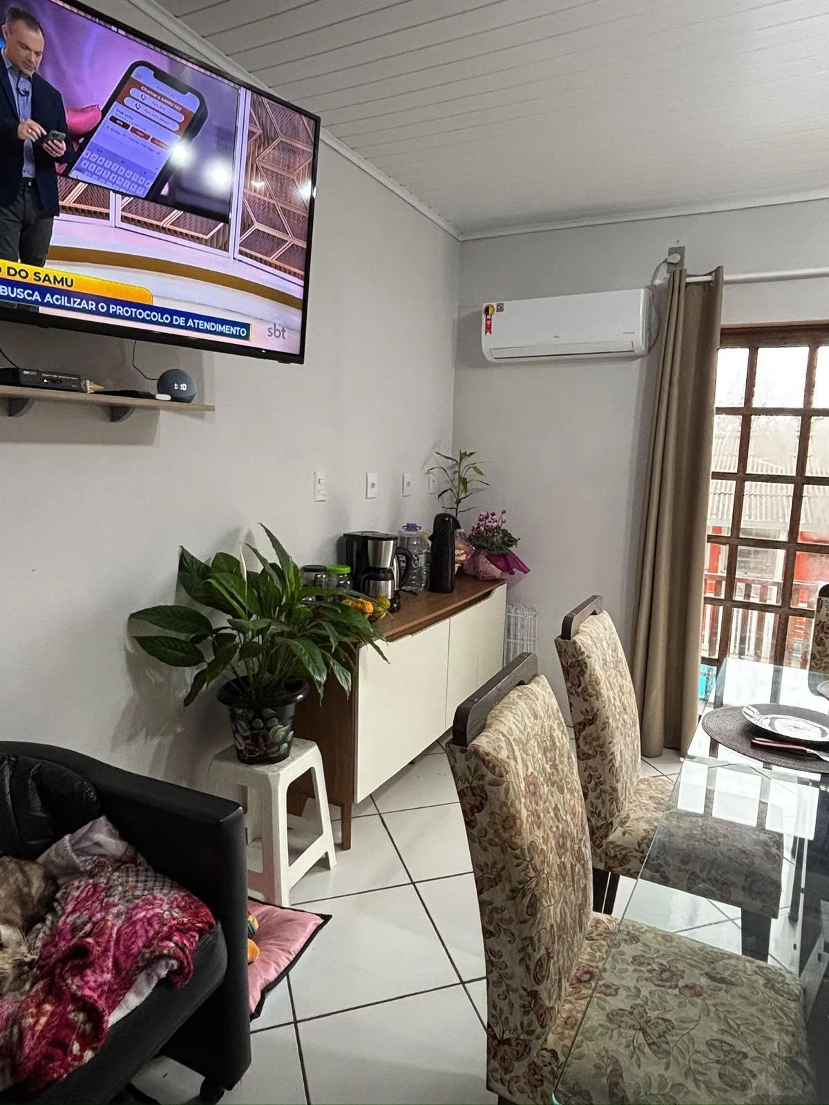 Imagem SITIO COM DUAS CASAS E PISCINA NA RESTINGA