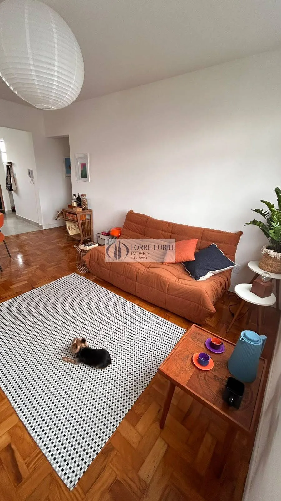 Imagem Lindo Apartamento com 3 dormitorios 1 suite 1 vaga na Mooca