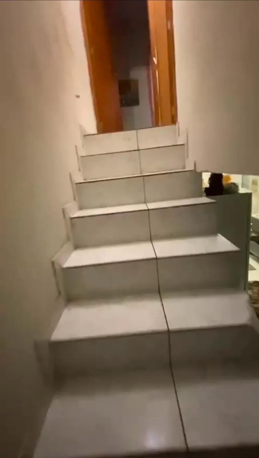 Imagem Sobrado com 2 Quartos à Venda, 55 m² em Tatuquara - Curitiba
