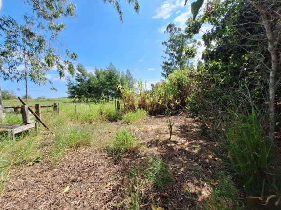 Imagem Horzem Imóveis vende sítio com 10.500m² em Boa Vista – Viamão/RS