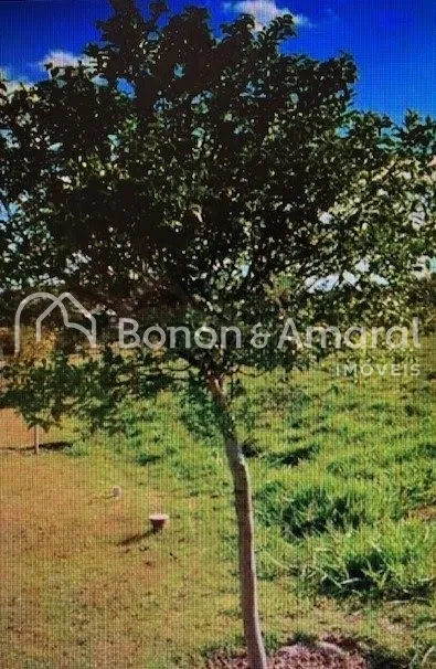 Foto do imóvel Terreno, à venda , Condomínio Entre Verdes, Sousas, Campinas em Rua Claudio Lysias Valvassoura, 662 - Loteamento Residencial Entre Verdes (sousas), Campinas - SP