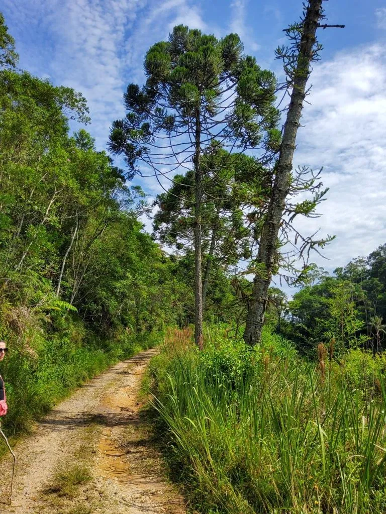 Imagem Lindo Sitio em Pedro de Toledo