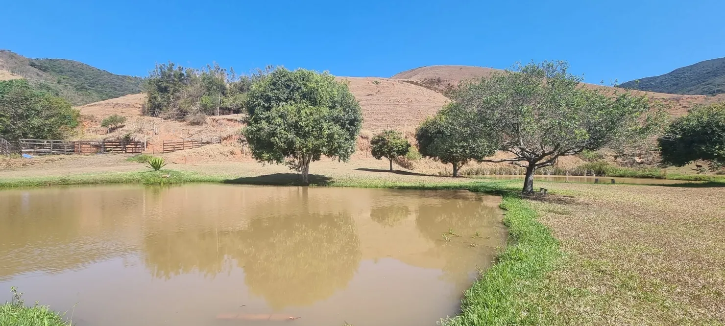Imagem Grande Oportunidade Rural: 89 Alqueires com Expansão para 100.