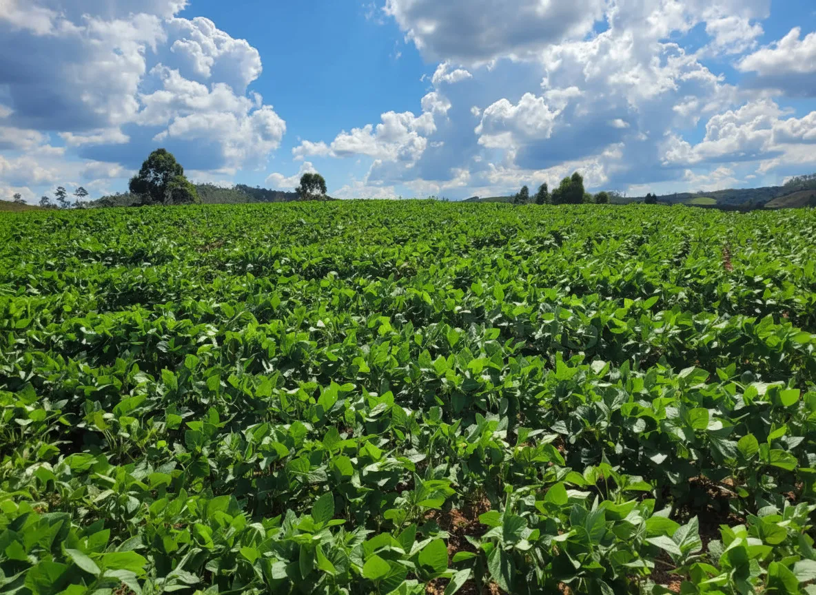 Imagem Fazenda 142,78 ha à venda em Área Rural, Caldas