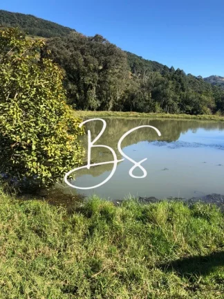 Imagem SITIO RURAL em SÃO FRANCISCO DE PAULA - RS, Padilha