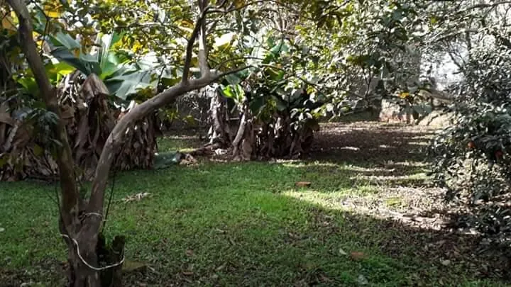 Imagem Terreno para Venda em São Leopoldo / RS no bairro Arroio da Manteiga