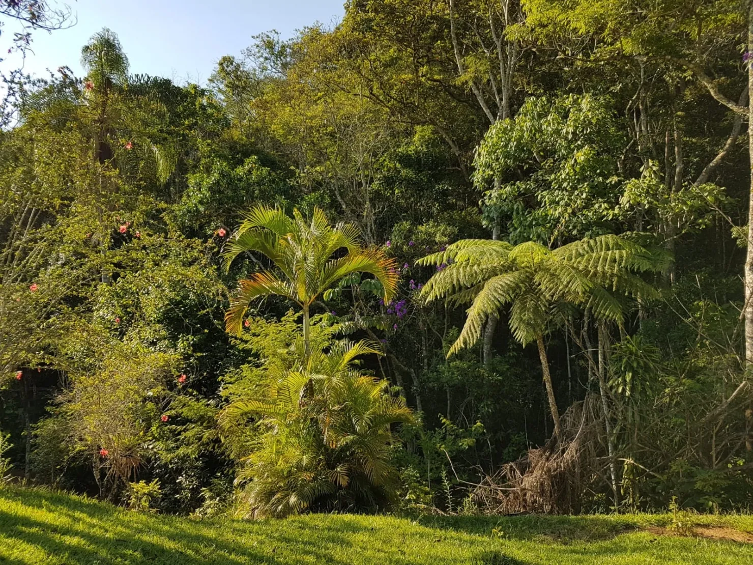 Imagem Chácara à venda 1 Quarto, 57596M², Pinga, Pindamonhangaba - SP