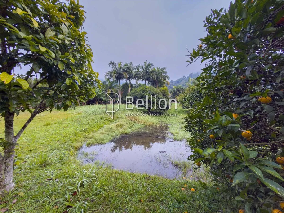 Imagem Investimento com alto potencial de valorização ou o lugar ideal para construir o seu refúgio em meio à natureza, este terreno é para você.