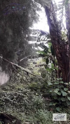Imagem Terreno Residencial à venda, Chácara Canta Galo, Cotia - .