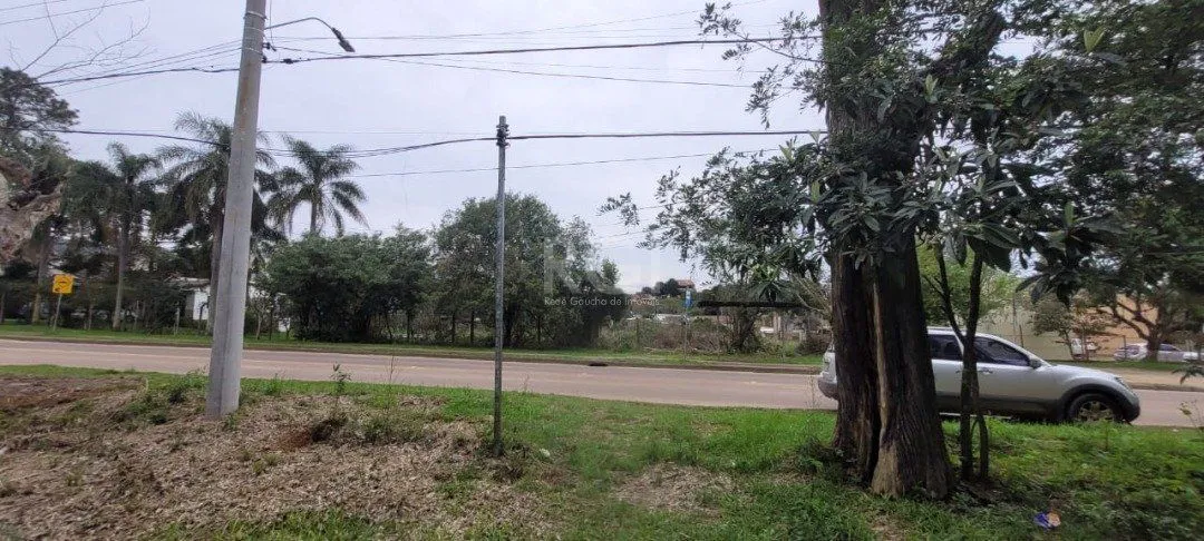 Imagem Terreno para Venda - 3.037m² no bairro Campo Novo