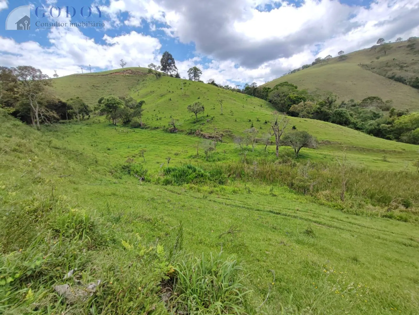 Imagem Área de 48.000 m² com excelente localização em Cunha/SP.