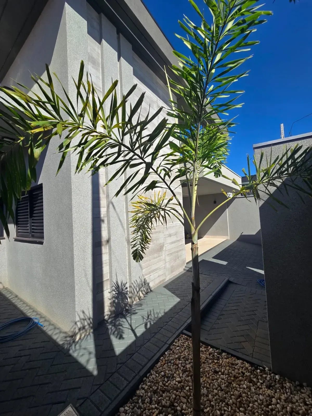 Imagem Casa com 3 Quartos à Venda, 127 m² em Residencial Setsul II - São José do Rio Preto