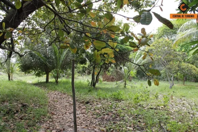 Imagem TERRENO EM CAMAÇARI