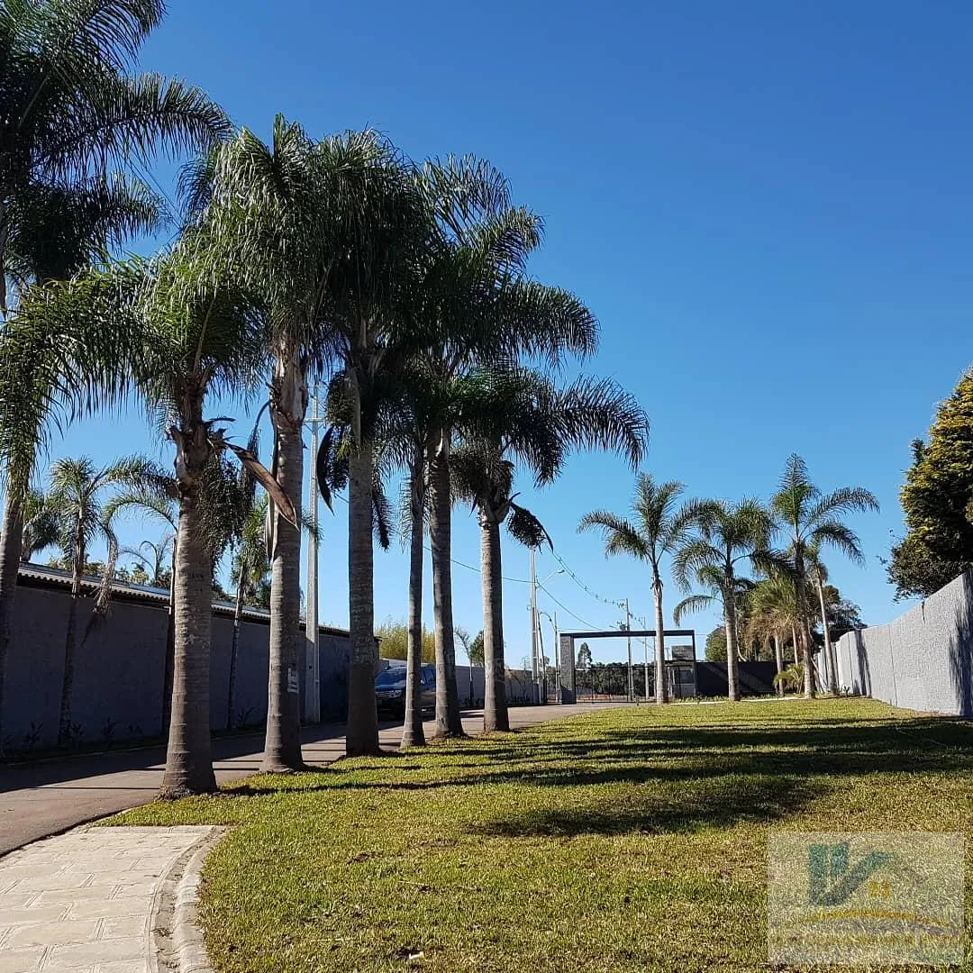 Imagem Lote para Venda em São José dos Pinhais, Campo Largo da Roseira