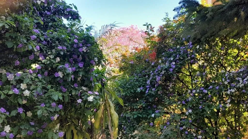 Imagem Terreno para Comprar na Santa Cecília no bairro Rio Branco.