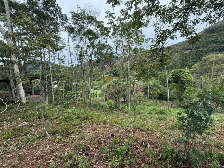 Imagem Terreno para Venda em Teresópolis / RJ no bairro Vargem Grande