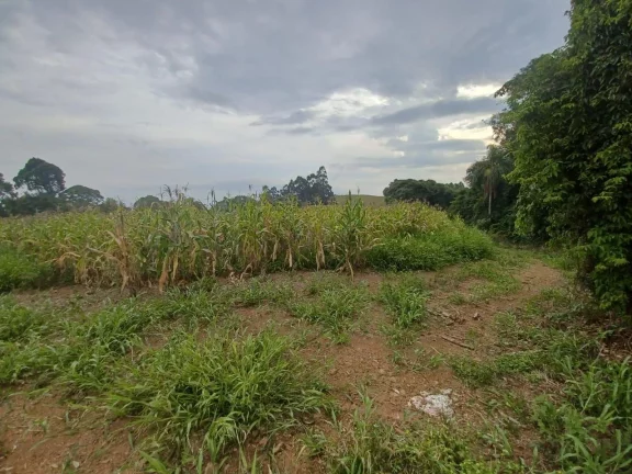 Imagem Área Agrícola para Venda em Irani, Interior