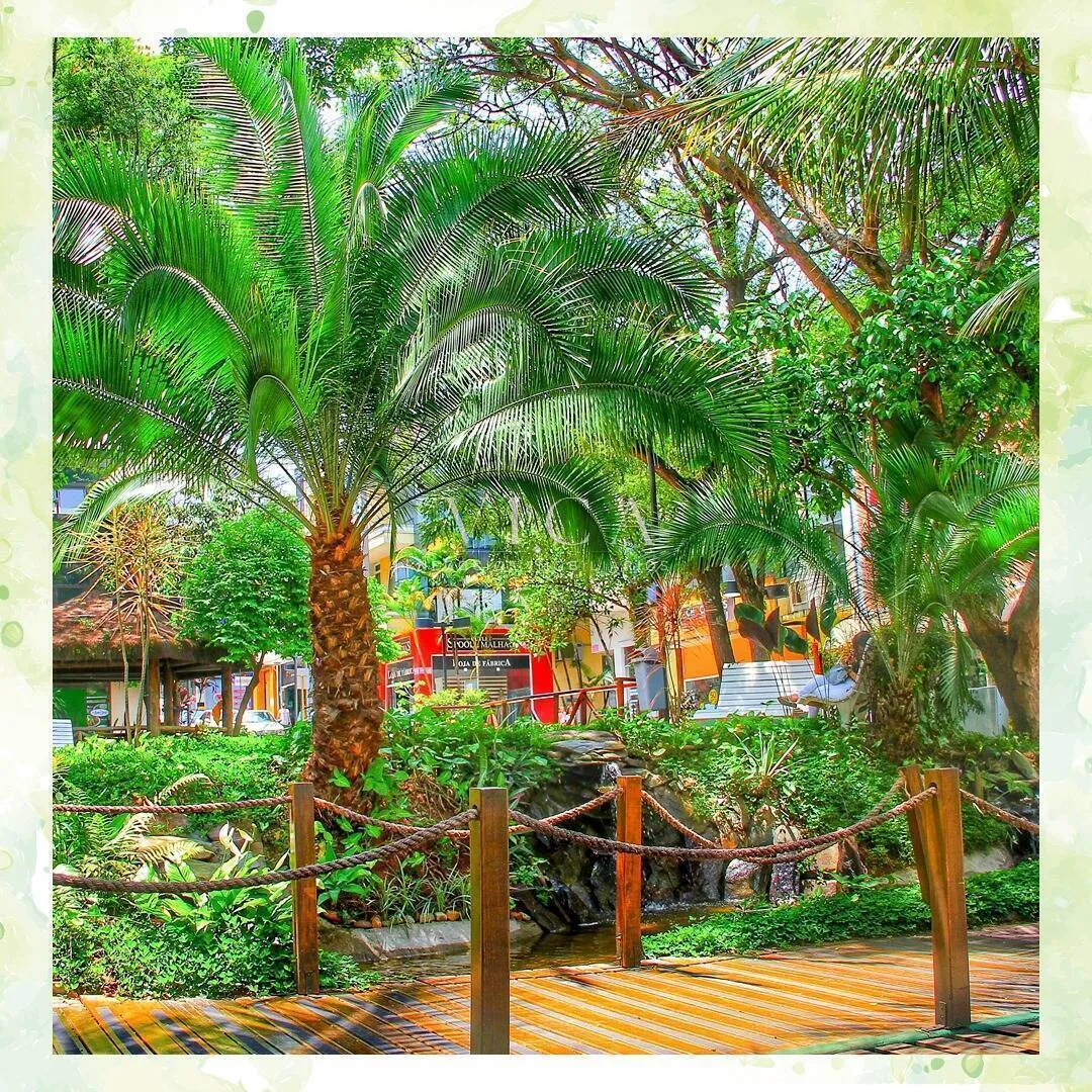 Imagem Sala para alugar 96m² por R$ 6.450,00/mês - Alphaville Comercial Barueri