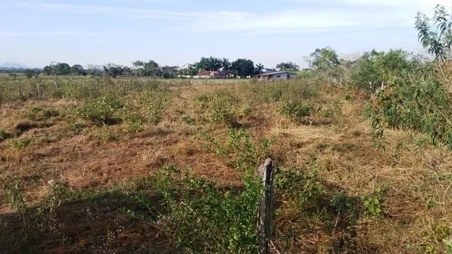 Imagem Chácara à venda 2000M², Cruz Pequena, Pindamonhangaba - SP