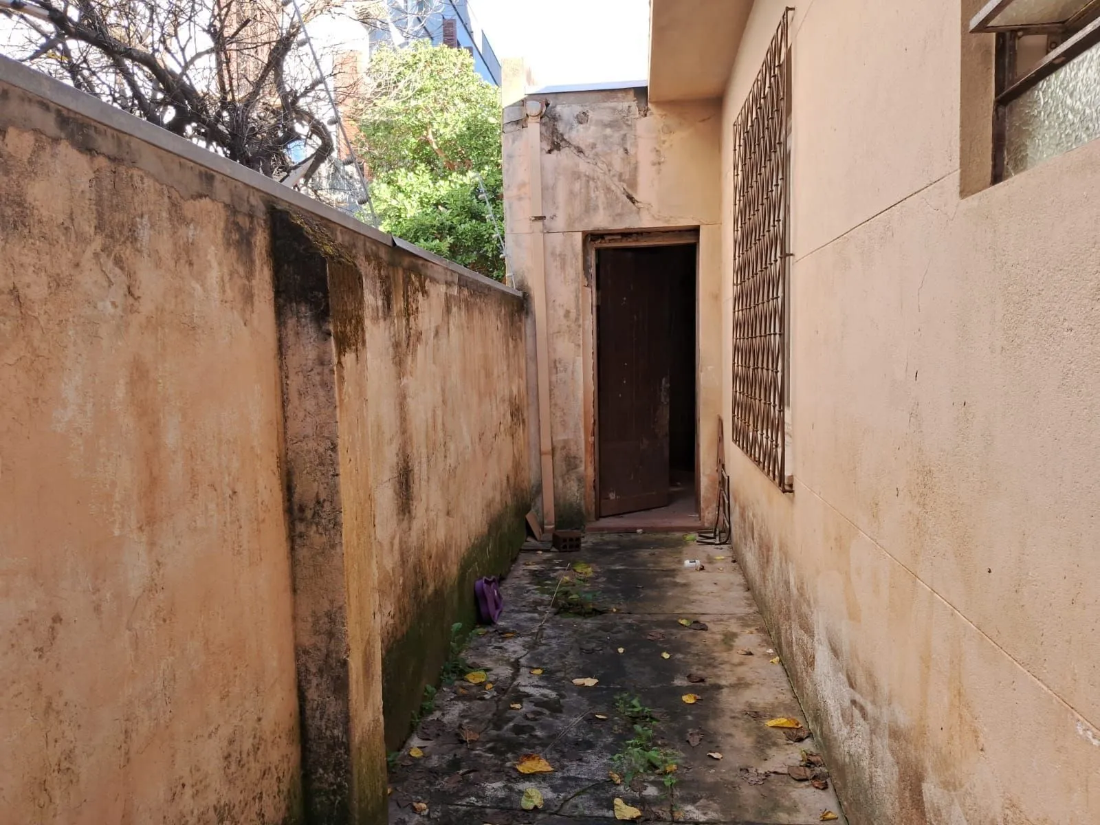 Imagem Casa em Menino Deus