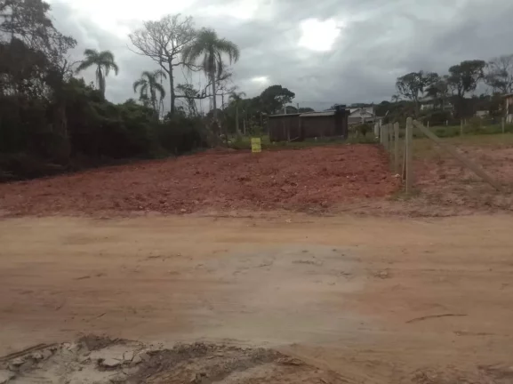 Imagem Vendo lote na praia do Erwino