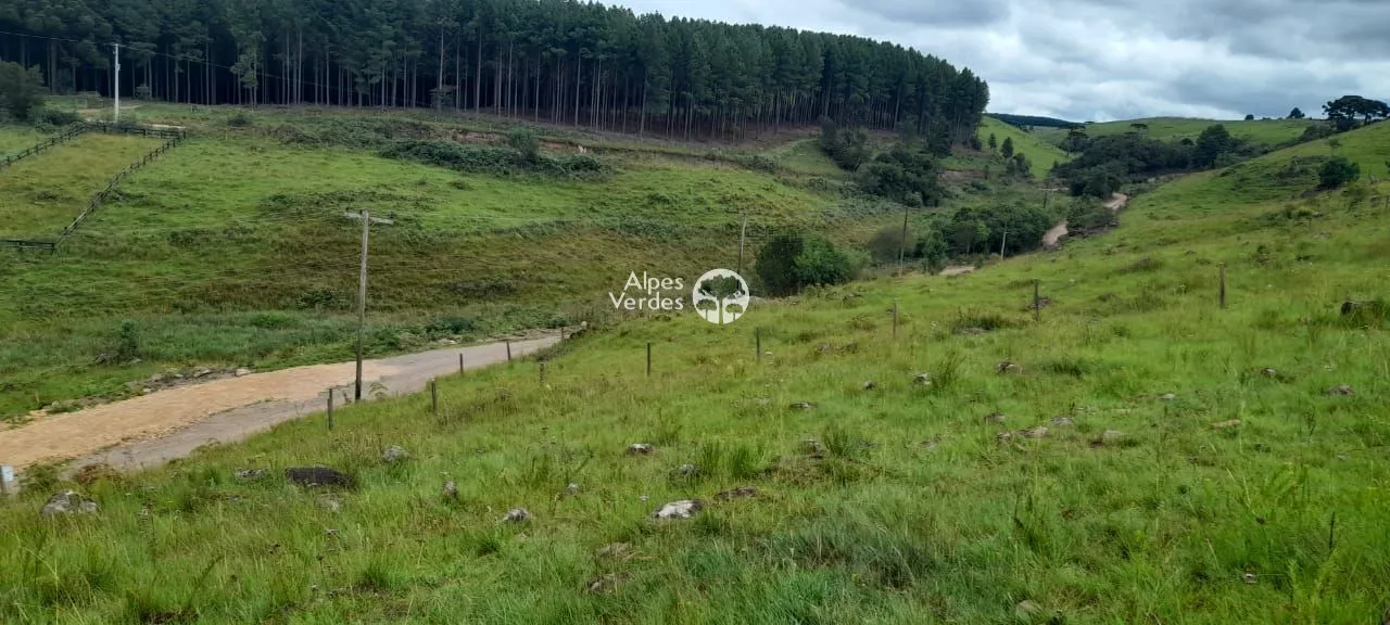 Terreno á venda por R$ 100.000,00 - Vila Eletra, São Francisco de Paula/RS