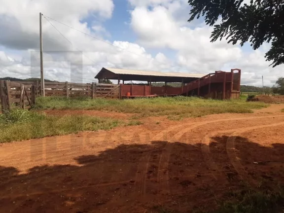 Imagem CASAL IMÓVEIS VENDE FAZENDA 4.095 ALQUEIRES - ARAGUAÍNA/TOCATINS