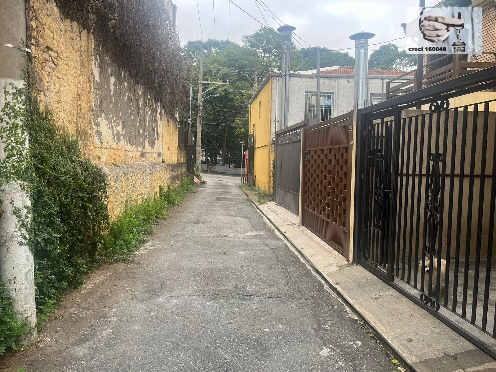 Imagem Casa Sobrado em Santana, São Paulo/SP