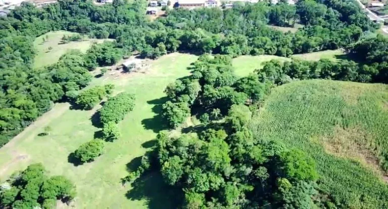 Imagem Área Agrícola para Venda em Arabuta, Centro