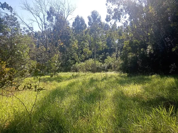 Imagem Excelente Área para Investimento - 29 Hectares, Pimenta, Viamão/RS