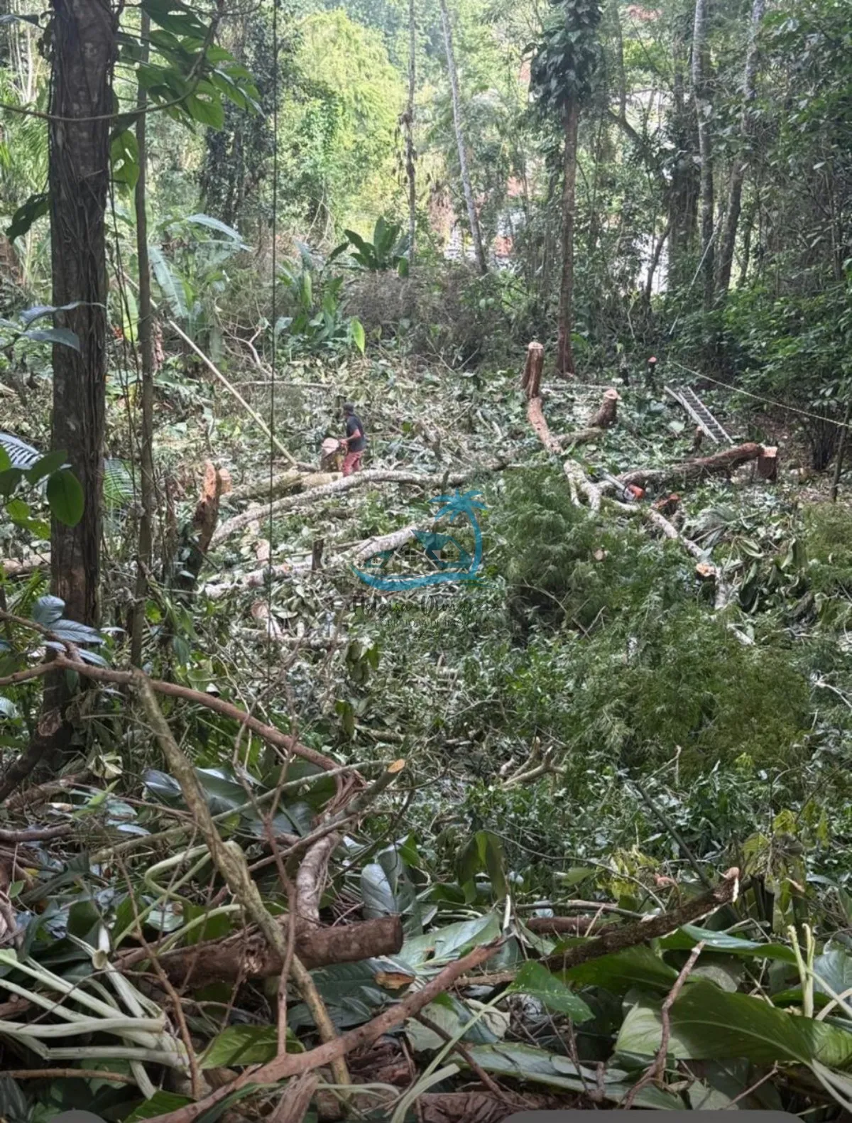 Foto do imóvel Excelente terreno com 666m² à venda no Itaguá em Ubatuba
