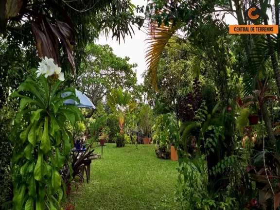 Imagem SITIO EM BARRA DE POJUCA