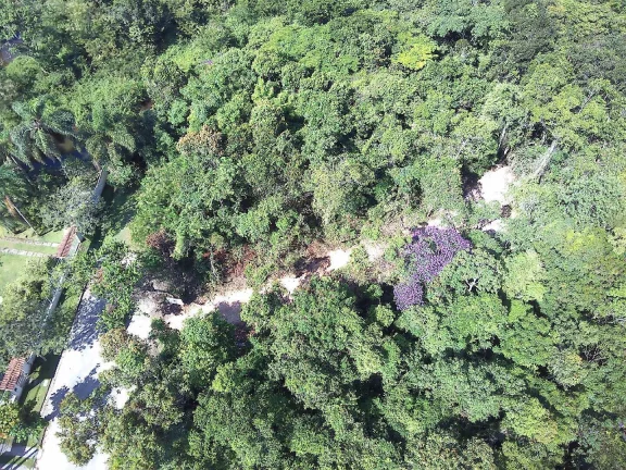 Imagem Excelente Terreno!!! Praia da Tabatinga Caraguatatuba SP
