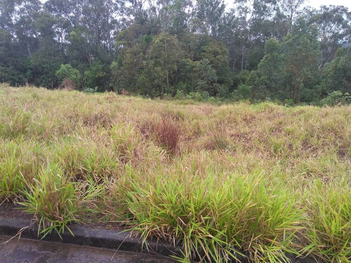 Imagem Terreno para Venda em Portão / RS