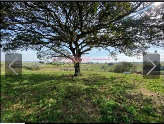 Imagem Sítio com 43,600 metros de terreno COM EXELENTE TOPOGRAFIA em cerquilho