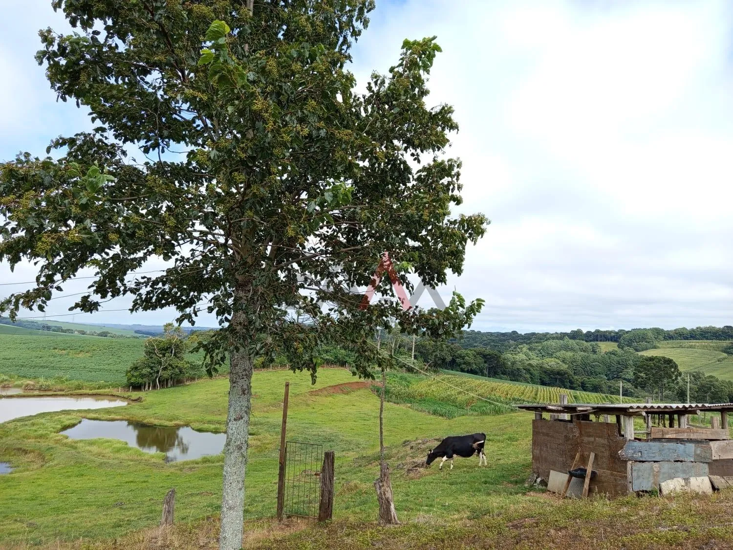 Imagem Chácara com 2.1 alqueires à venda, Guairacá, GUARAPUAVA - PR